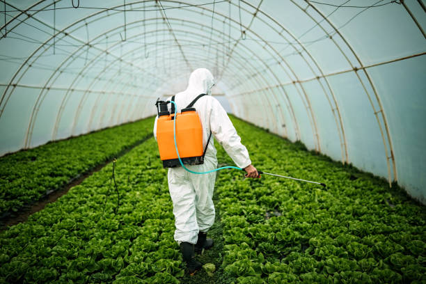 Best Pest Removal Services  in Frostproof, FL