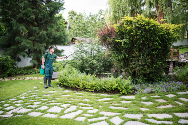 Best Local Pest Control Services  in Frostproof, FL