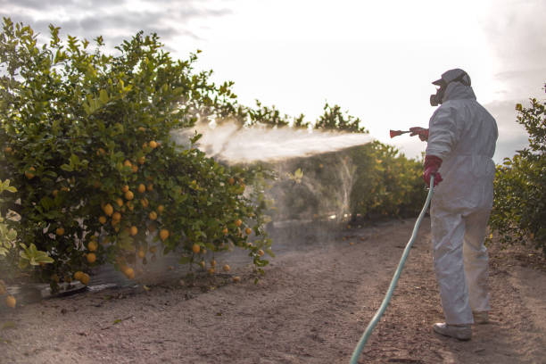 Best Best Pest Control Companies  in Frostproof, FL