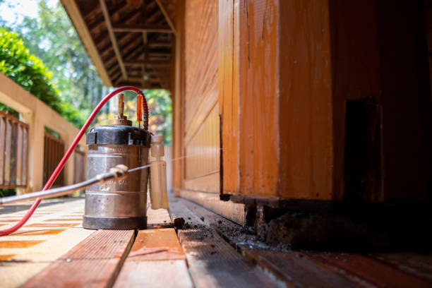 Best Exterminator Services  in Frostproof, FL