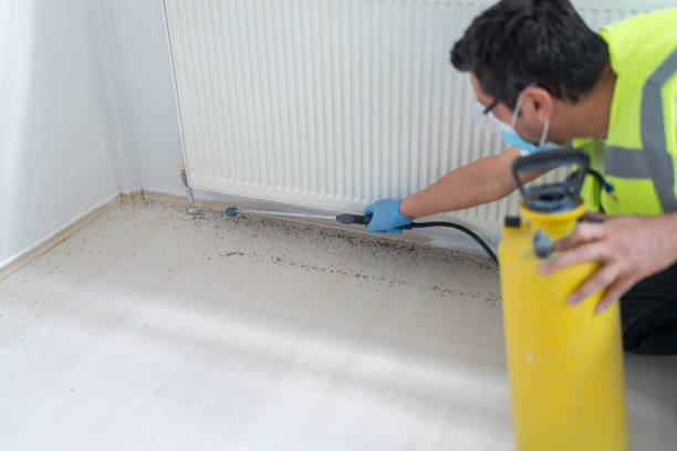 Best Affordable Pest Control Services  in Frostproof, FL