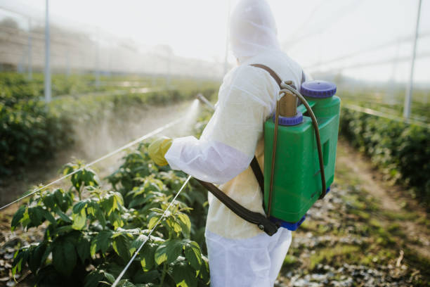 Trusted Frostproof, FL Pest Control Experts